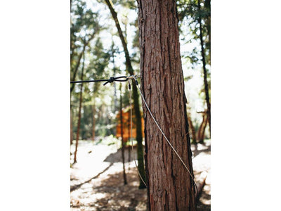 Bungee Brake Kit Eyebolt installed in Tree